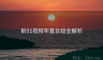 新91视频年度总结全解析