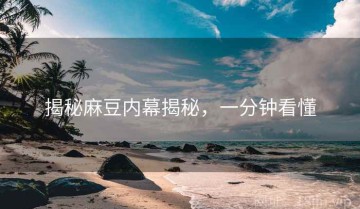 揭秘麻豆内幕揭秘，一分钟看懂