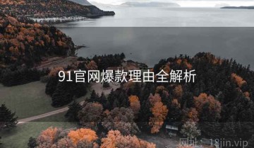 91官网爆款理由全解析