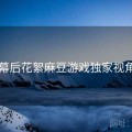 幕后花絮麻豆游戏独家视角