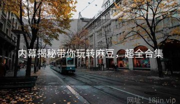 内幕揭秘带你玩转麻豆，超全合集