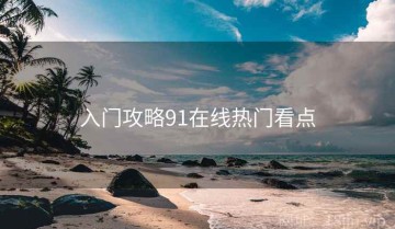 入门攻略91在线热门看点