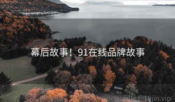 幕后故事！91在线品牌故事