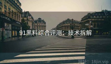 91黑料综合评测：技术拆解