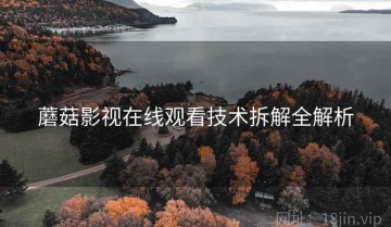 蘑菇影视在线观看技术拆解全解析