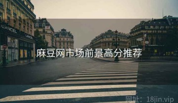 麻豆网市场前景高分推荐