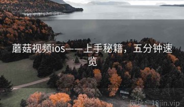 蘑菇视频ios——上手秘籍，五分钟速览