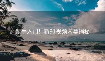新手入门！新91视频内幕揭秘