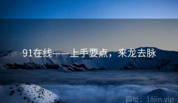 91在线——上手要点，来龙去脉