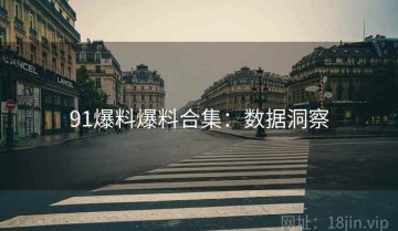 91爆料爆料合集：数据洞察