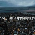 新手入门！麻豆app官网新手必看
