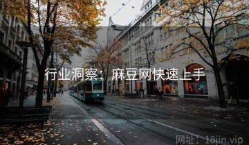 行业洞察：麻豆网快速上手