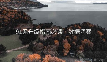 91网升级指南必读！数据洞察