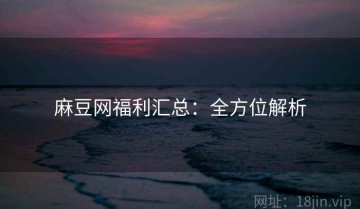麻豆网福利汇总：全方位解析