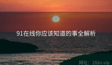 91在线你应该知道的事全解析