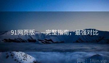 91网页版——完整指南，最强对比