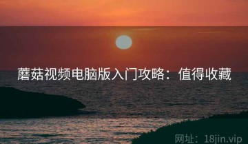 蘑菇视频电脑版入门攻略：值得收藏