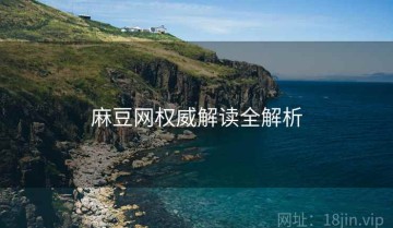 麻豆网权威解读全解析