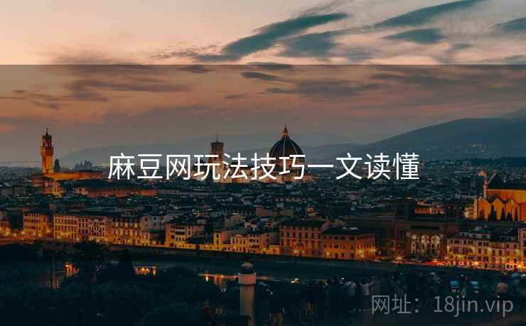 麻豆网玩法技巧一文读懂