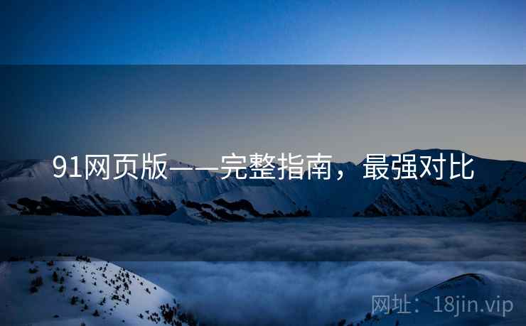 91网页版——完整指南，最强对比