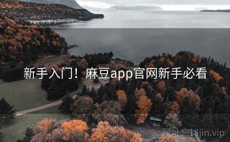 新手入门！麻豆app官网新手必看