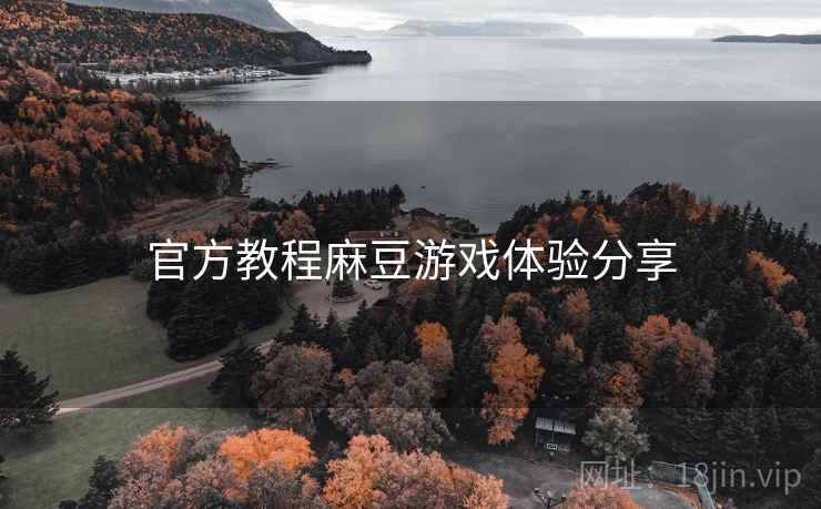 官方教程麻豆游戏体验分享