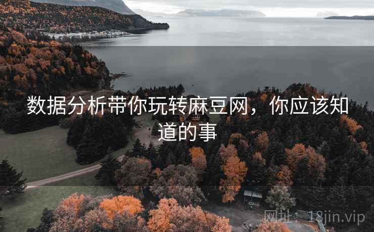 数据分析带你玩转麻豆网，你应该知道的事