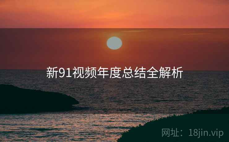 新91视频年度总结全解析