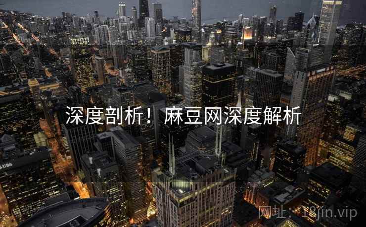 深度剖析！麻豆网深度解析