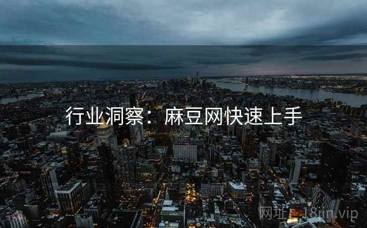 行业洞察：麻豆网快速上手