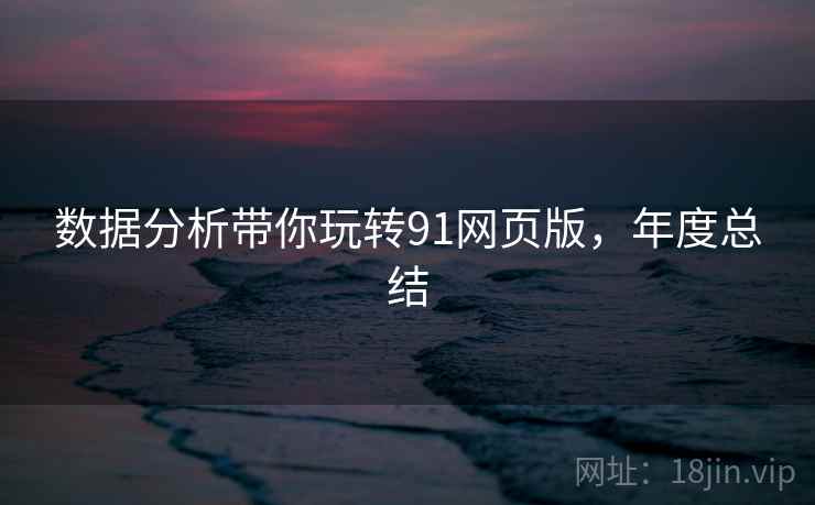 数据分析带你玩转91网页版，年度总结