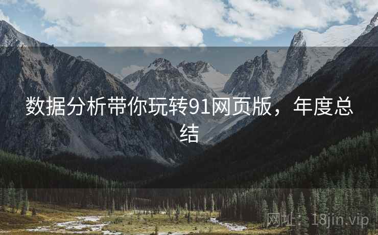 数据分析带你玩转91网页版，年度总结