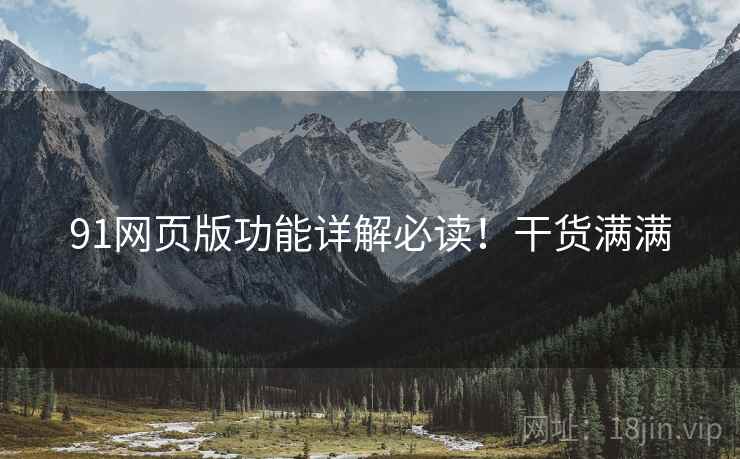 91网页版功能详解必读！干货满满