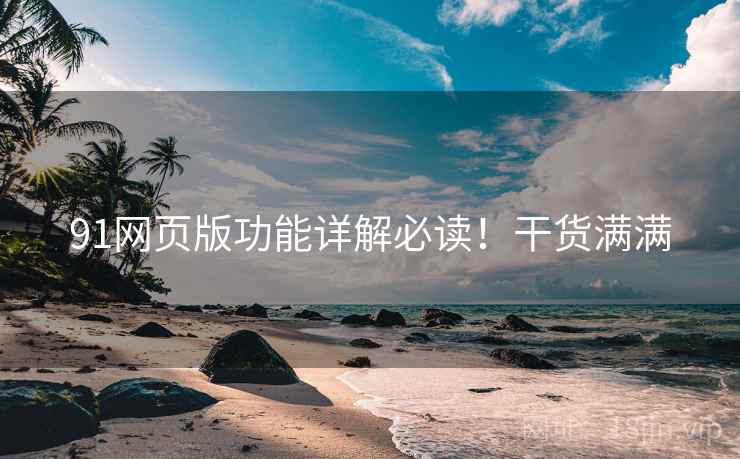 91网页版功能详解必读！干货满满