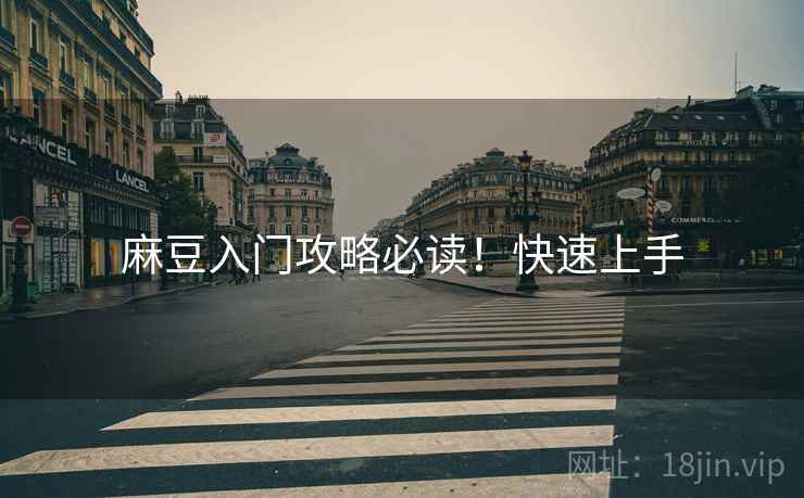 麻豆入门攻略必读！快速上手