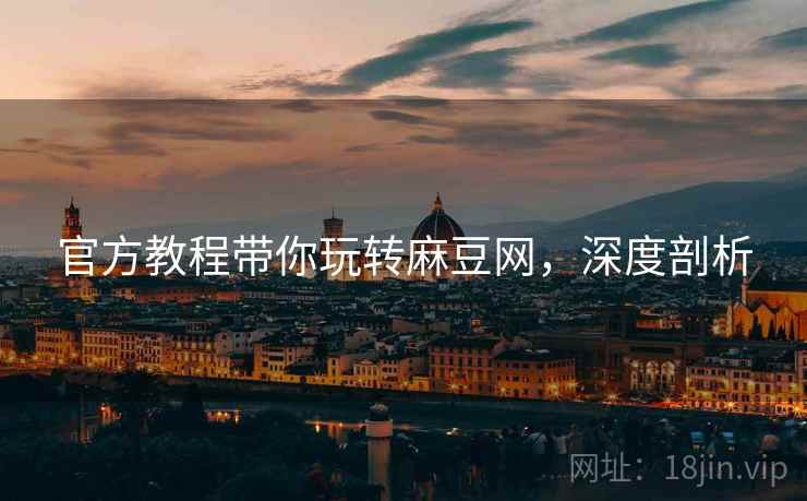 官方教程带你玩转麻豆网，深度剖析