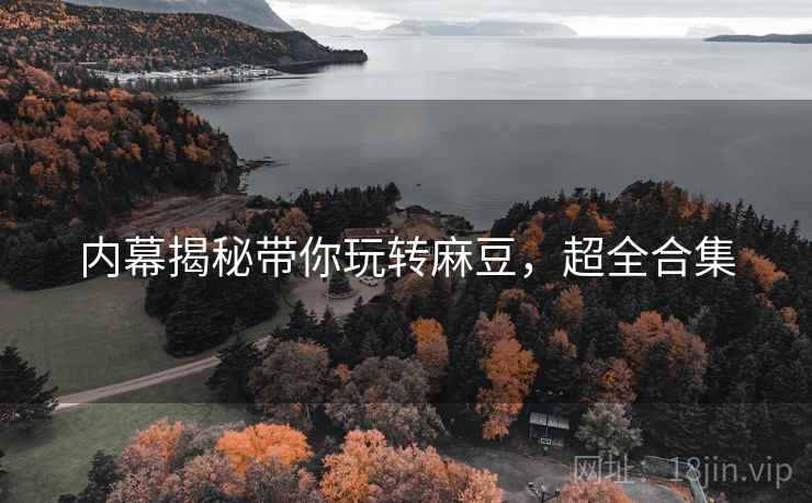 内幕揭秘带你玩转麻豆，超全合集