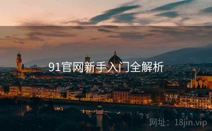 91官网新手入门全解析