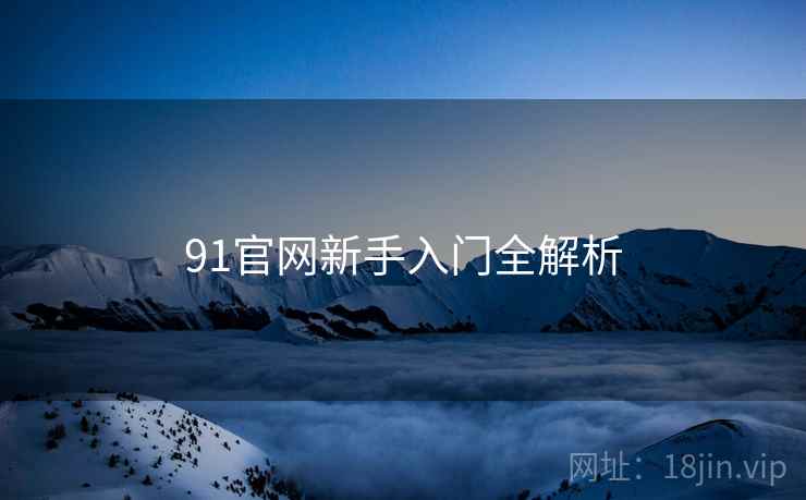 91官网新手入门全解析