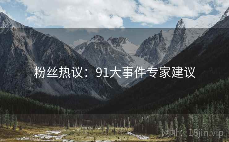 粉丝热议：91大事件专家建议