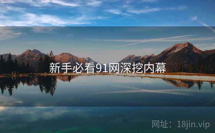 新手必看91网深挖内幕