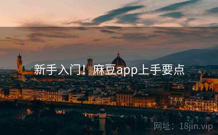 新手入门！麻豆app上手要点