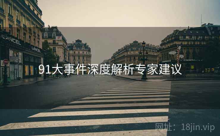 91大事件深度解析专家建议