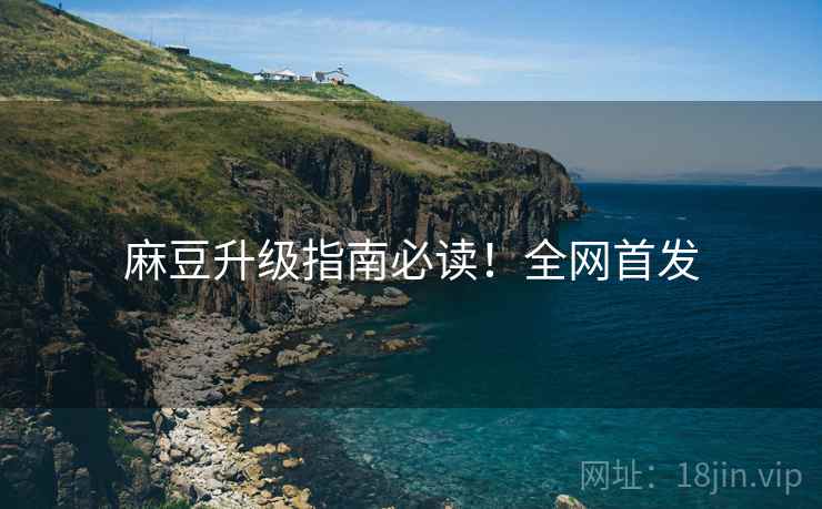 麻豆升级指南必读！全网首发