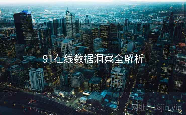 91在线数据洞察全解析