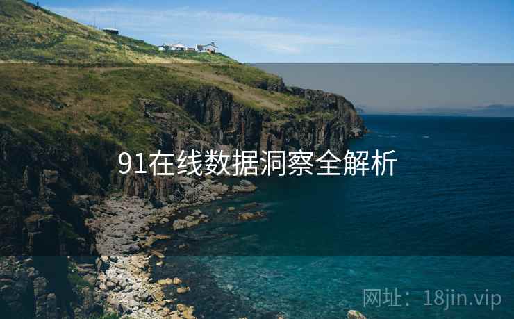 91在线数据洞察全解析