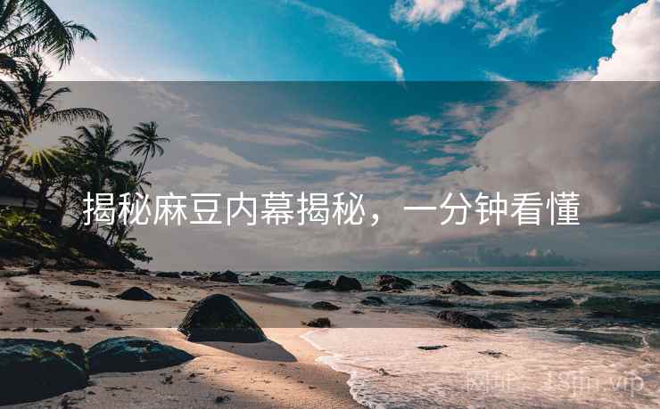 揭秘麻豆内幕揭秘，一分钟看懂