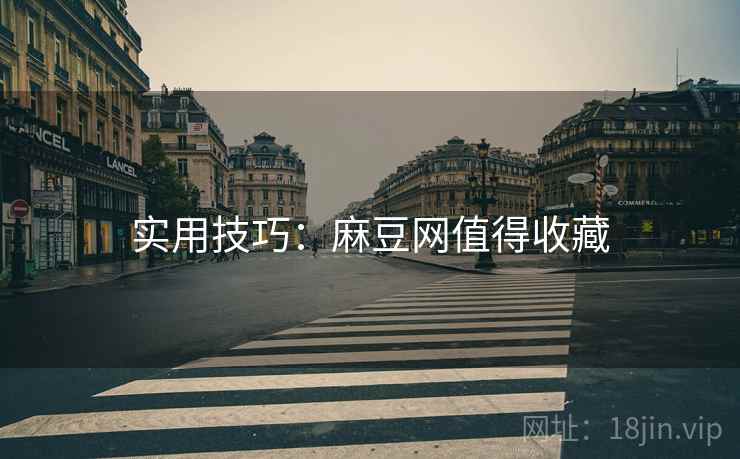 实用技巧：麻豆网值得收藏