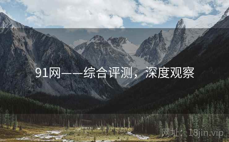 91网——综合评测，深度观察