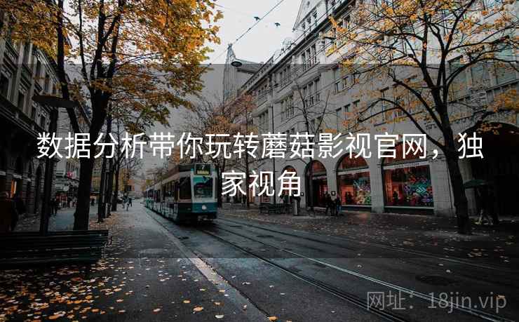 数据分析带你玩转蘑菇影视官网，独家视角